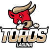 Toros Laguna
