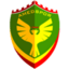Amed Sportif Faaliyetler Srl