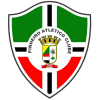 Pineyro