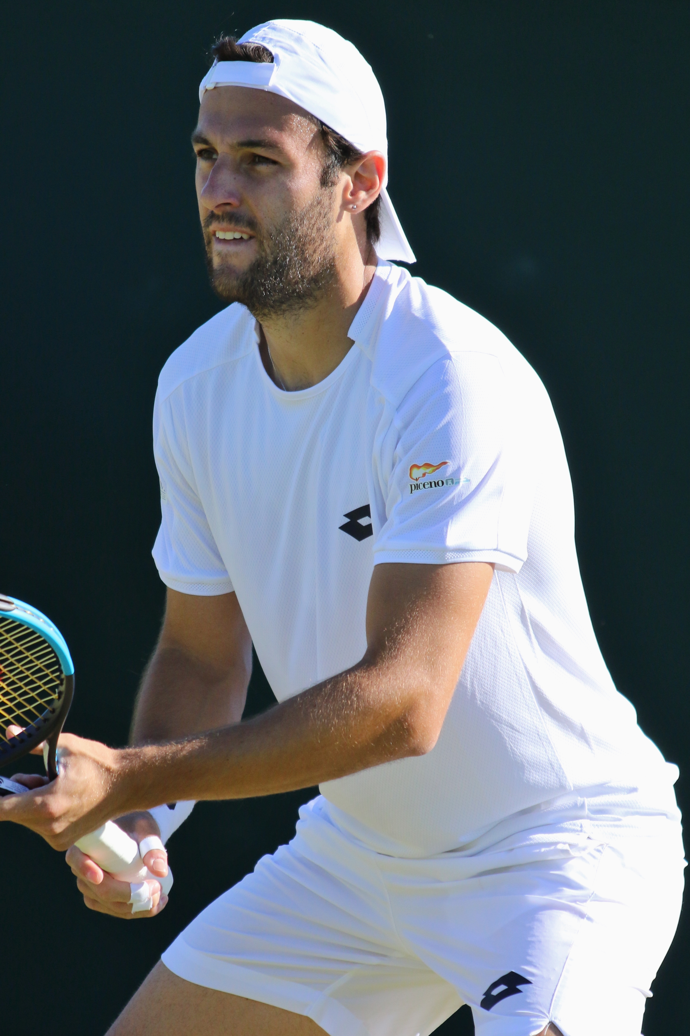 Stefano Travaglia